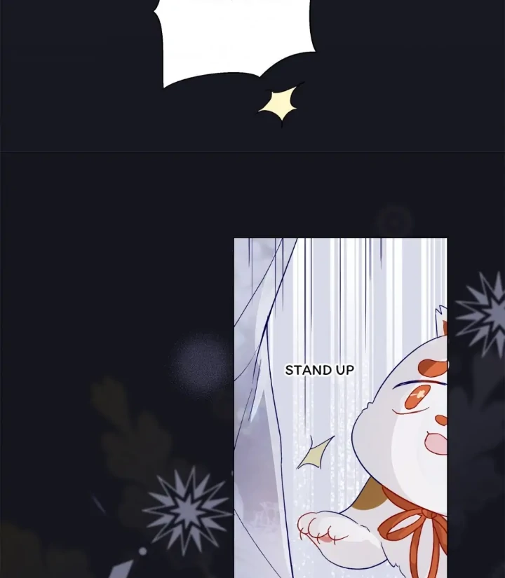 Page 19 of Chapter 144