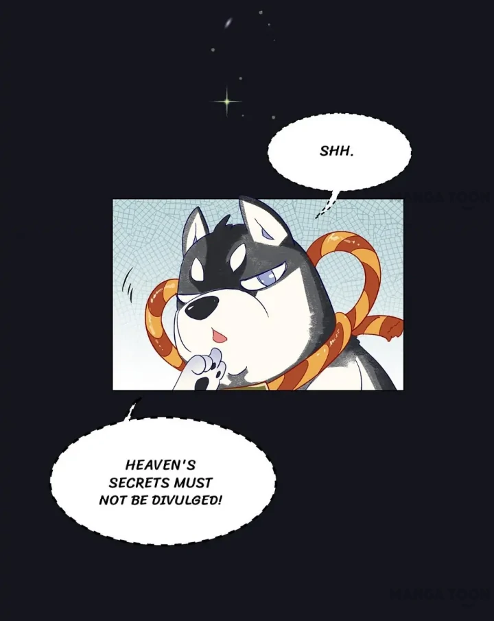 Page 41 of Chapter 148