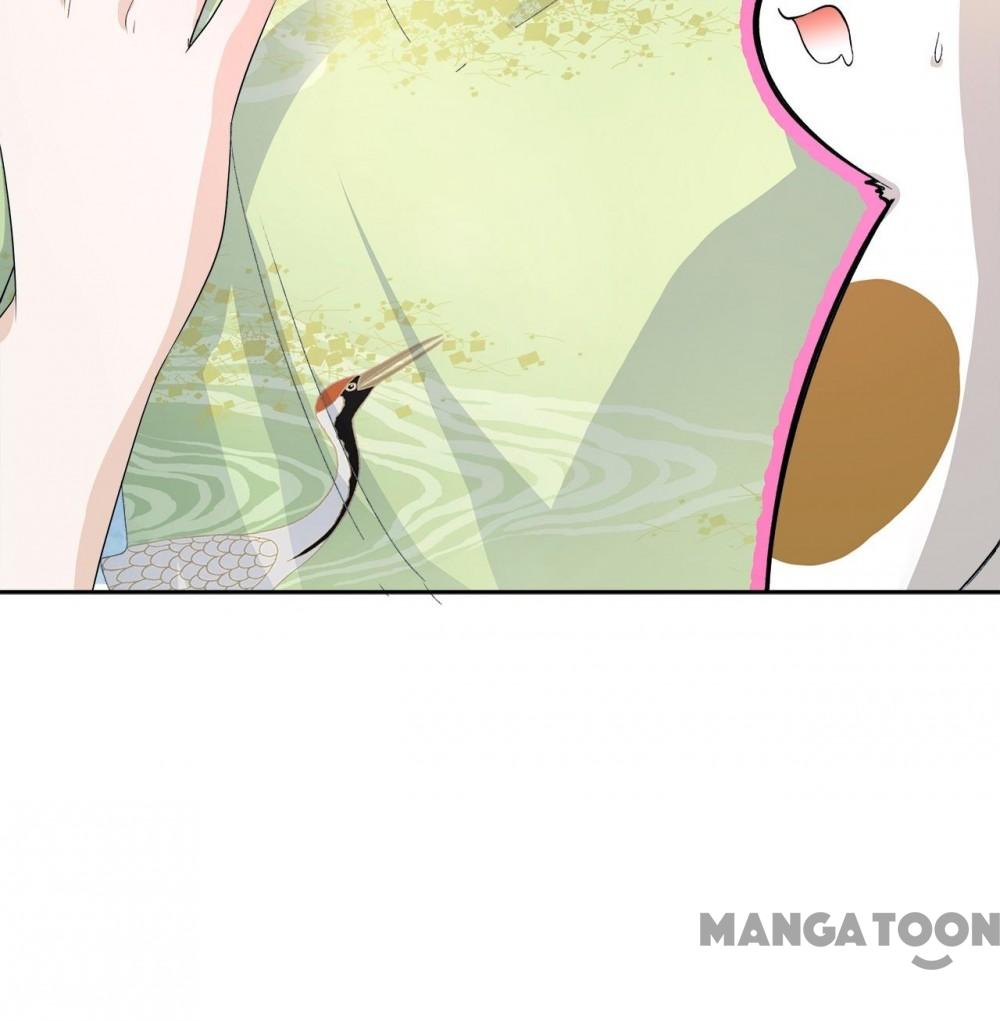 Page 8 of Chapter 19
