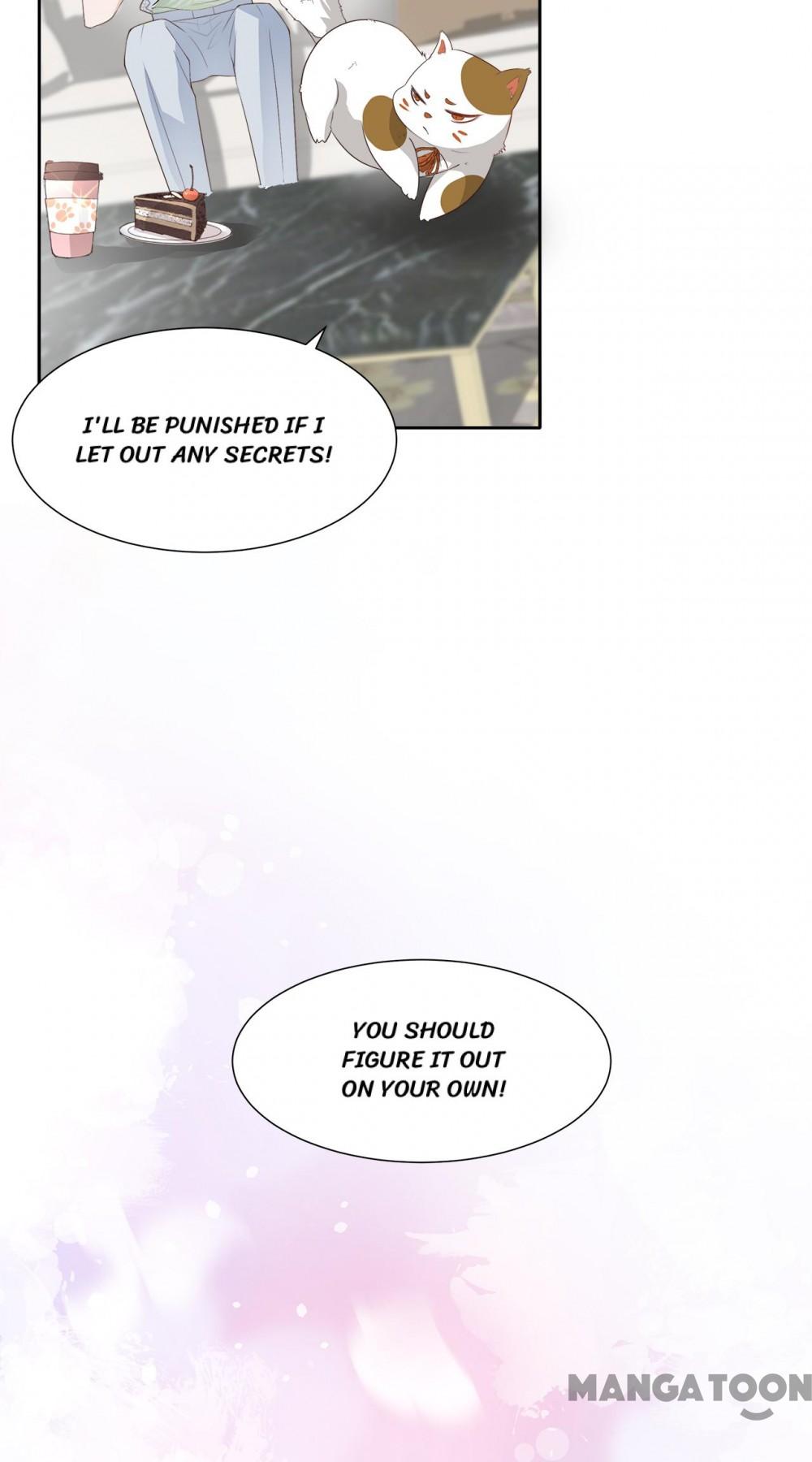 Page 13 of Chapter 19