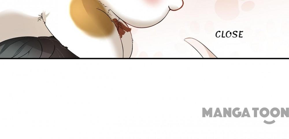 Page 4 of Chapter 2