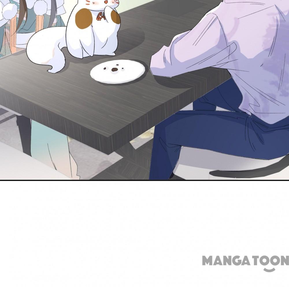 Page 12 of Chapter 25