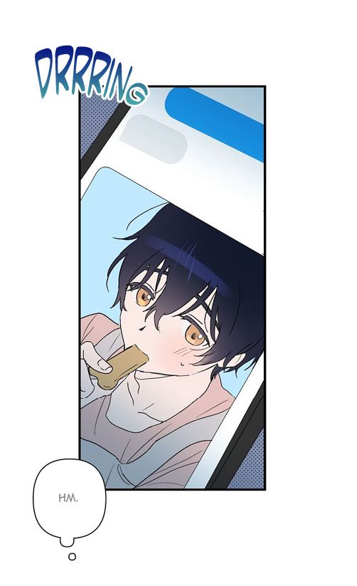 Page 81 of Chapter 2