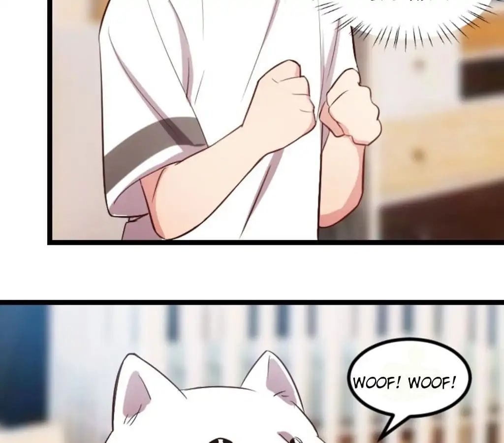 Page 37 of Chapter 150.5