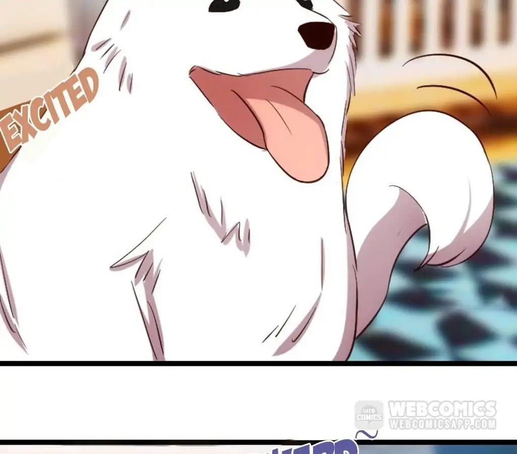 Page 38 of Chapter 150.5