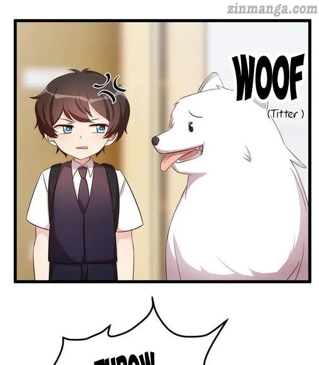 Page 1 of Chapter 234