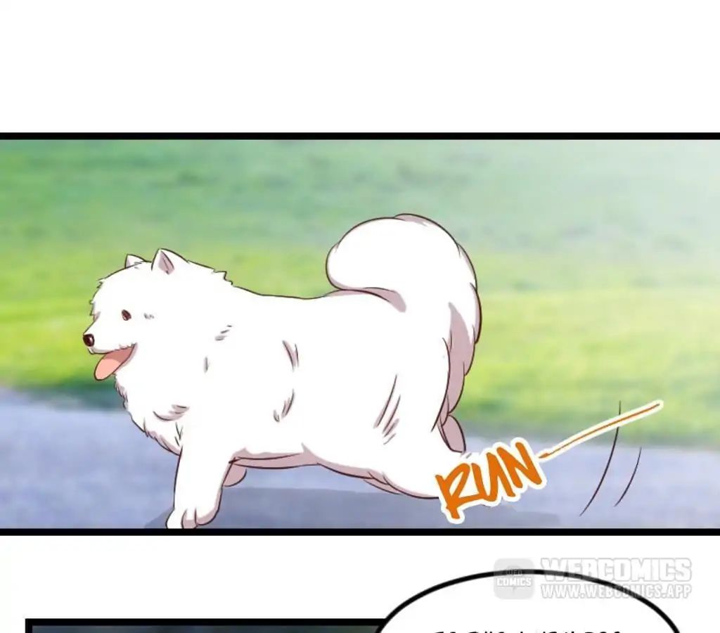 Page 26 of Chapter 76