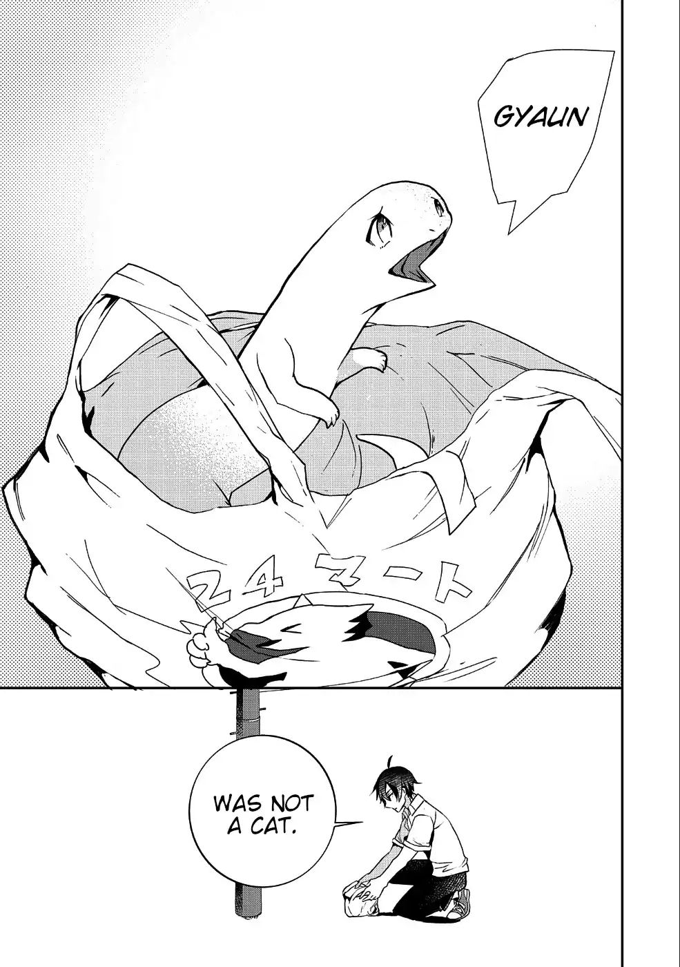 Page 3 of Chapter 1