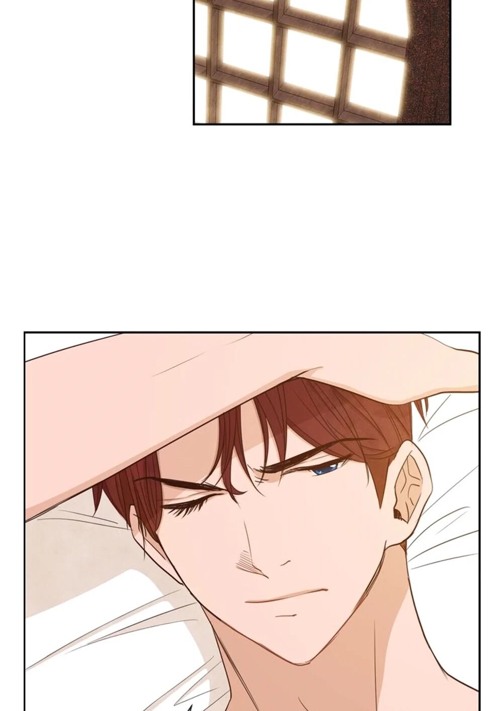 Page 11 of Chapter 20
