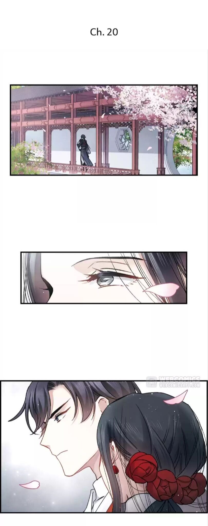 Page 2 of Chapter 20