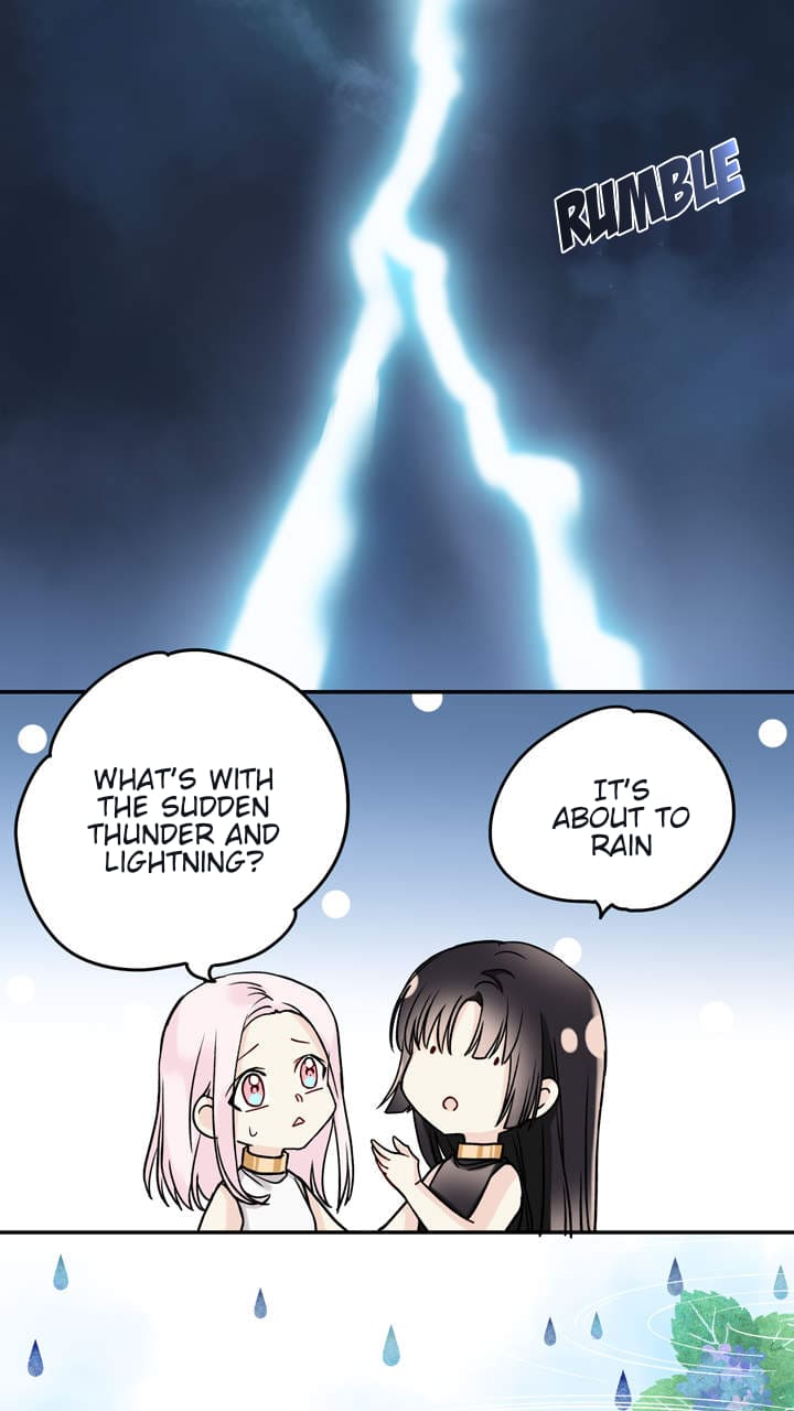 Page 7 of Chapter 33