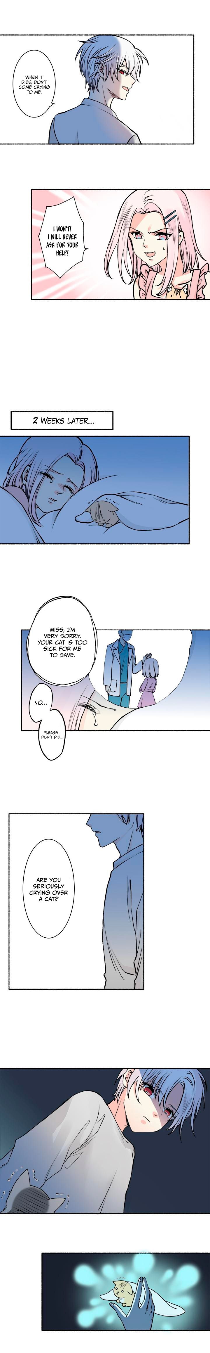 Page 3 of Chapter 6.5