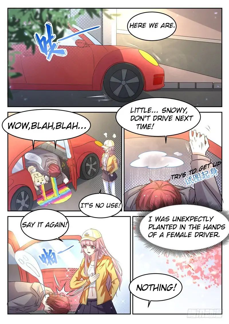 Page 3 of Chapter 13