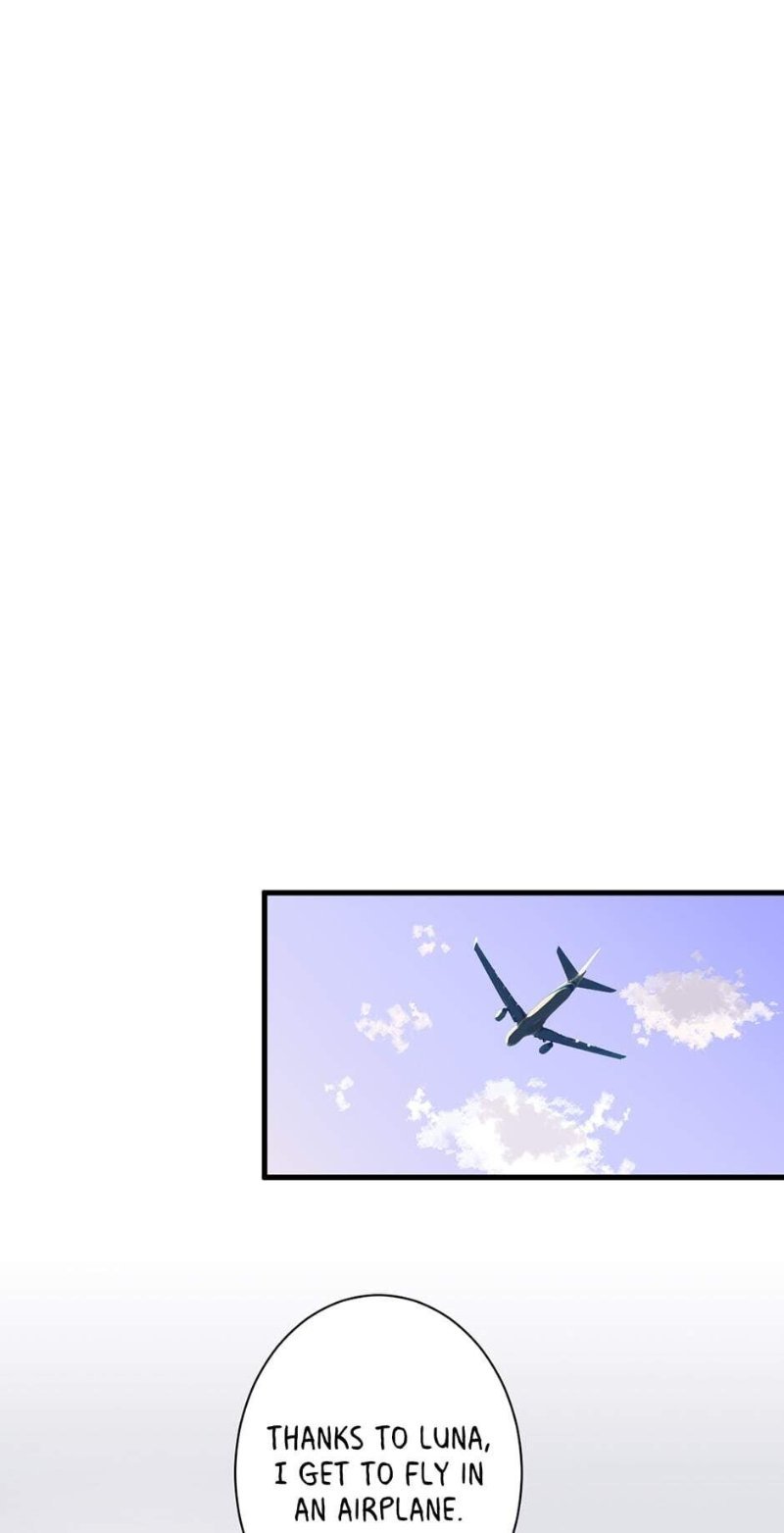 Page 19 of Chapter 20