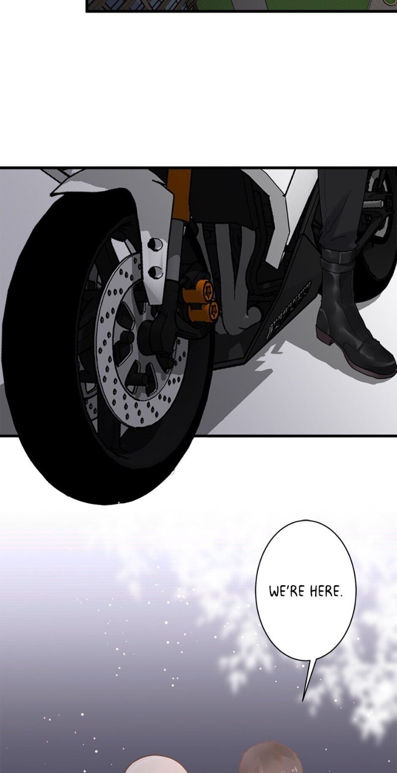 Page 8 of Chapter 6