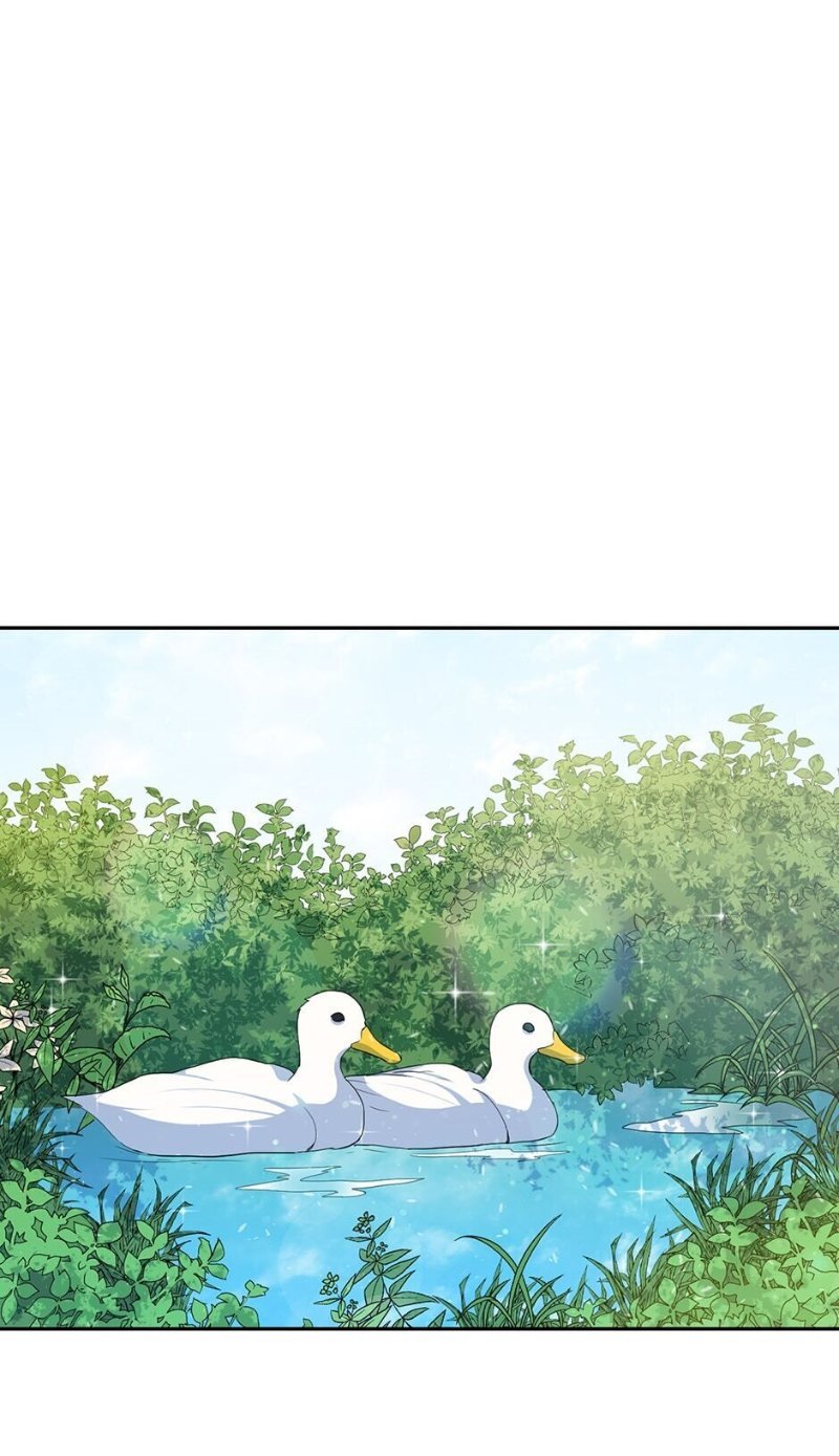 Page 9 of Chapter 116