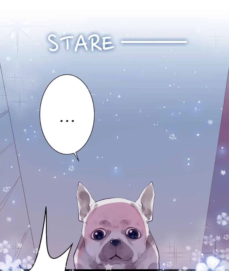 Page 3 of Chapter 2
