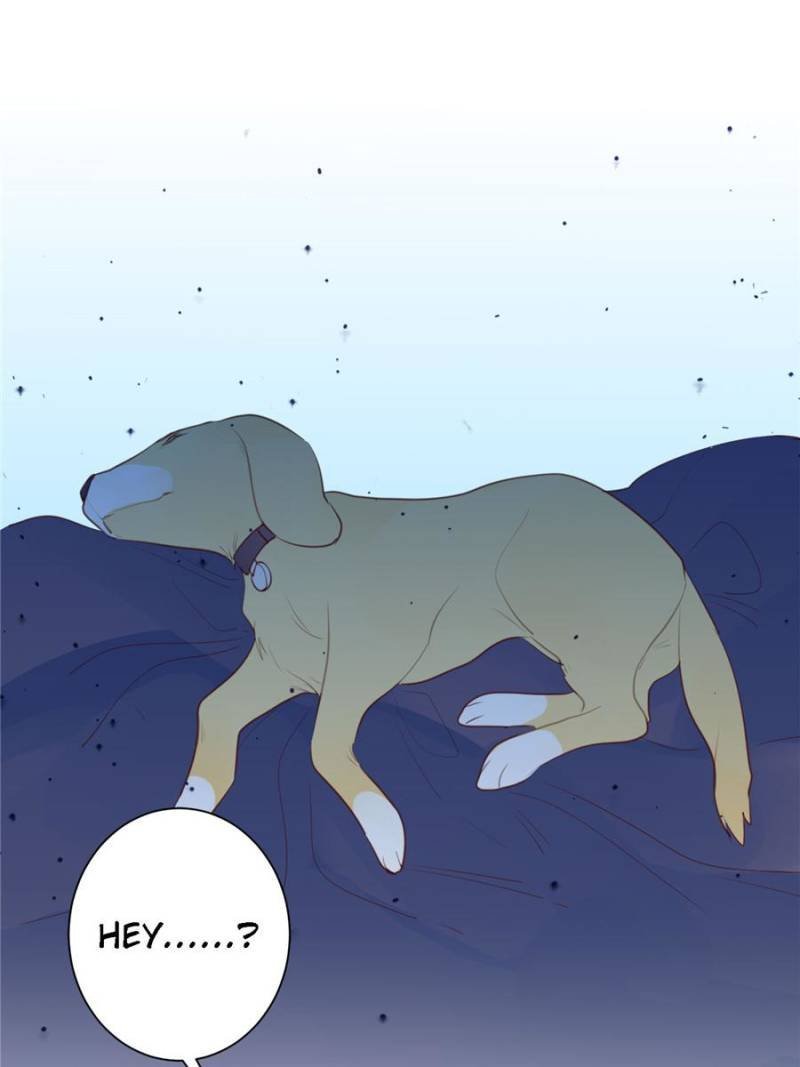 Page 39 of Chapter 52
