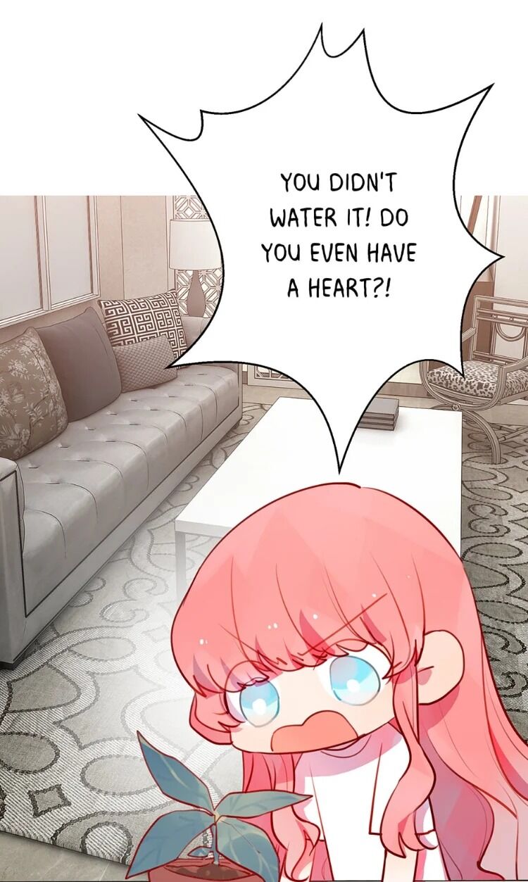 Page 13 of Chapter 8