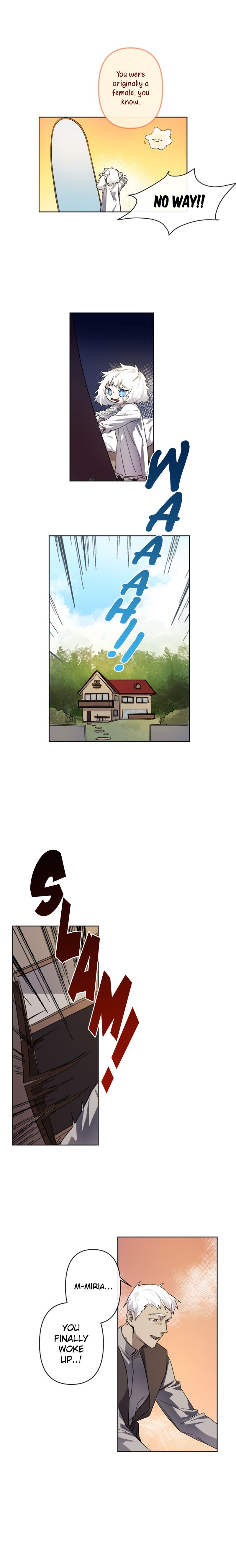 Page 17 of Chapter 1