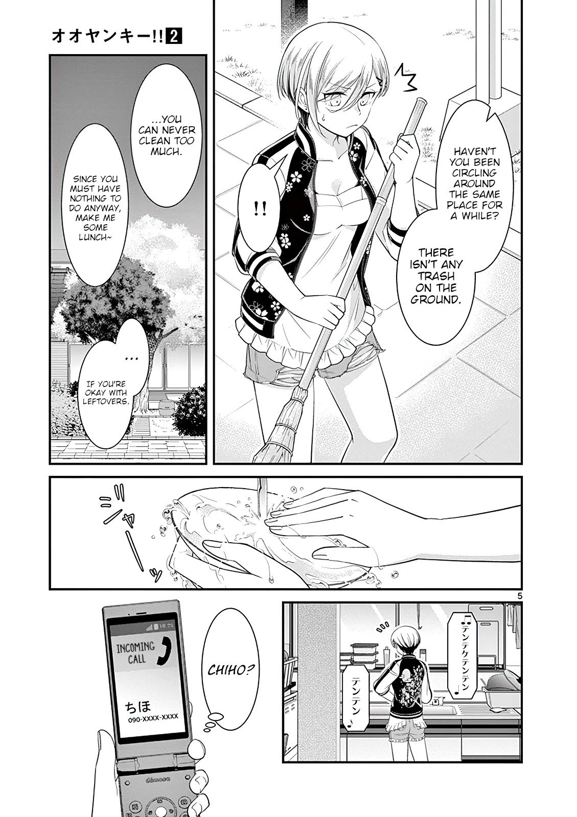 Page 5 of Chapter 17