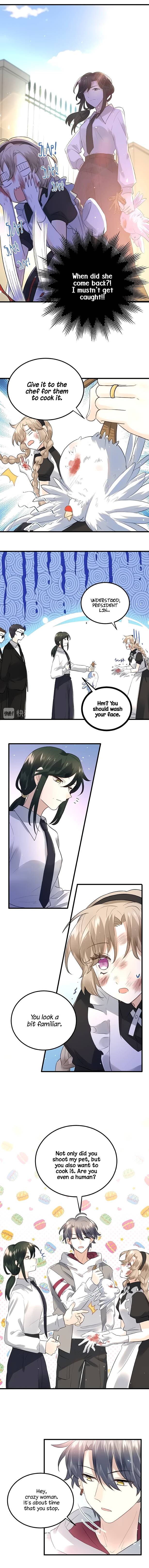 Page 8 of Chapter 34