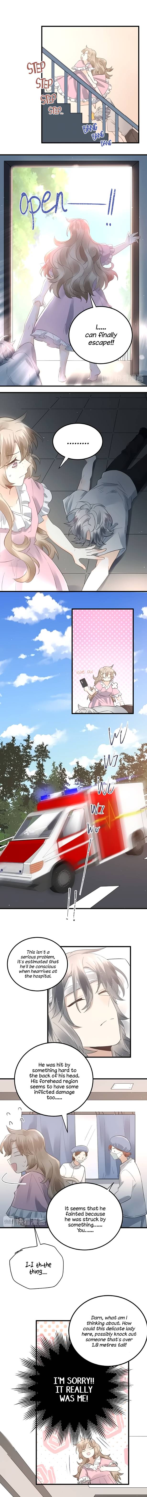 Page 3 of Chapter 41