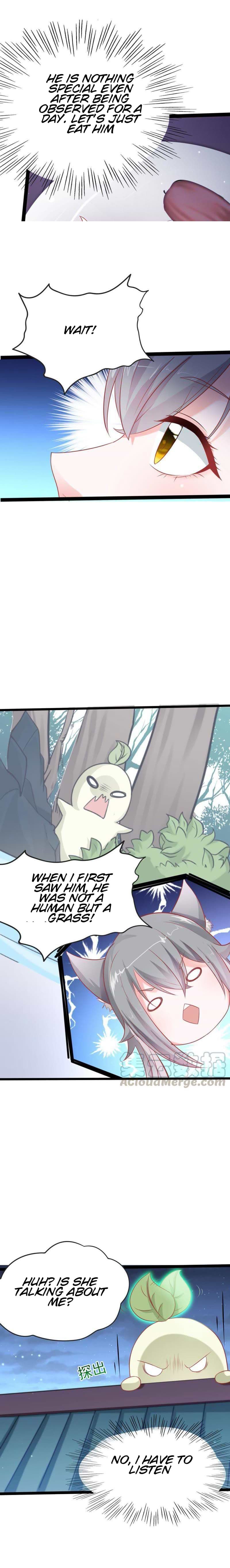 Page 5 of Chapter 3
