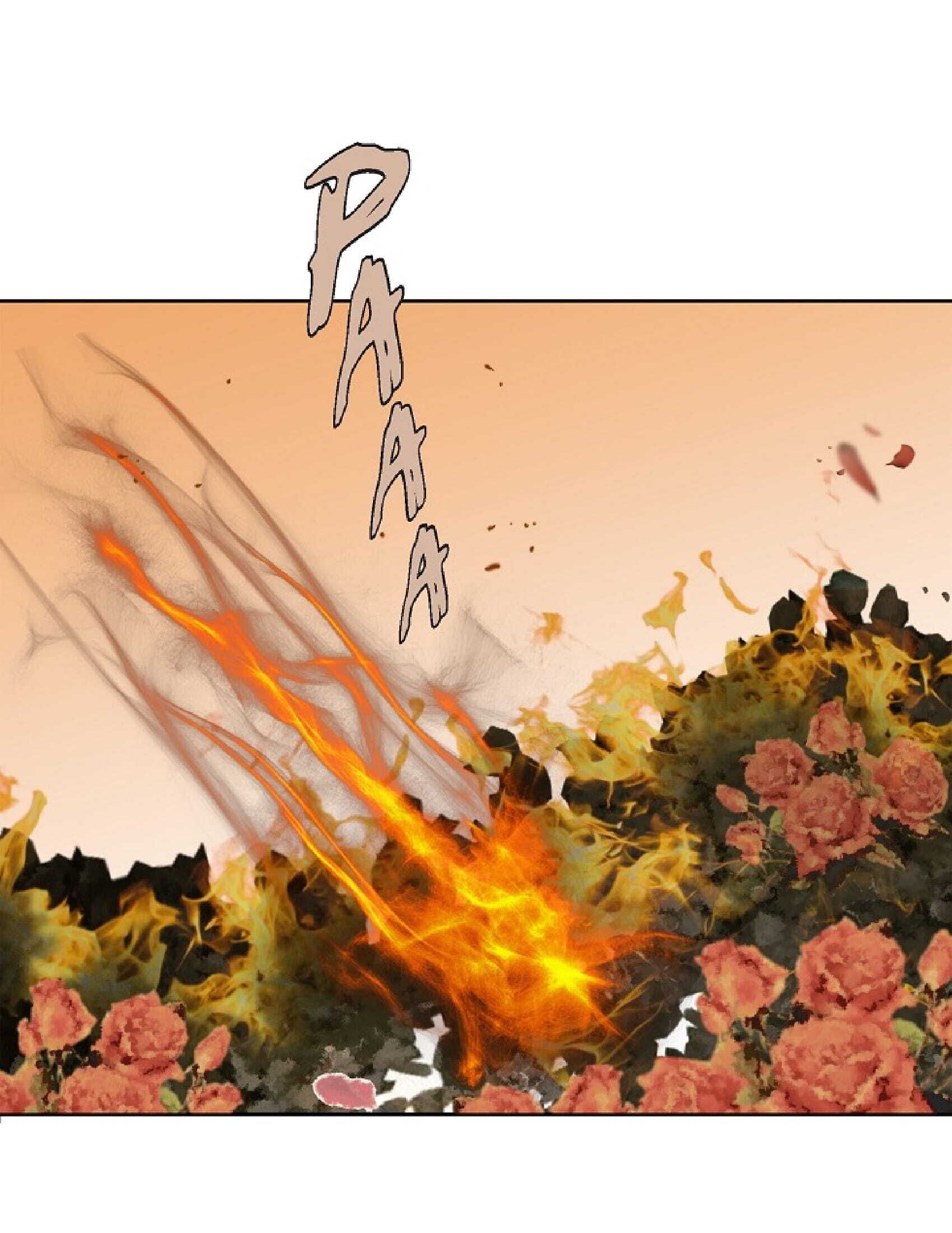 Page 22 of Chapter 1