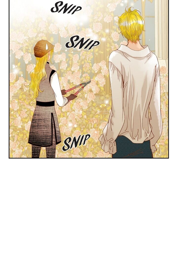 Page 29 of Chapter 15