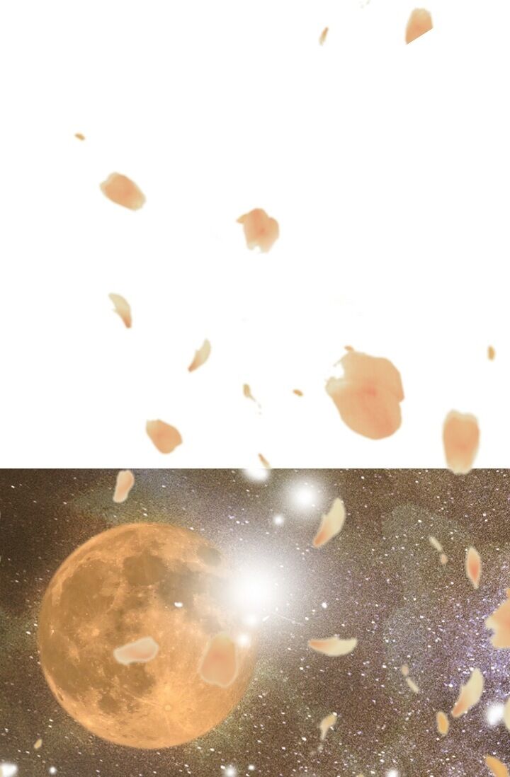 Page 70 of Chapter 15