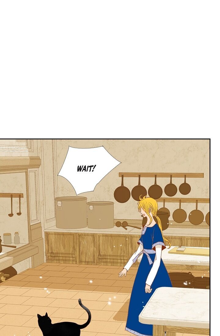 Page 31 of Chapter 17