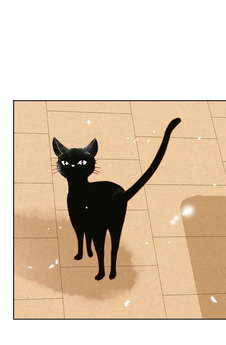 Page 34 of Chapter 17