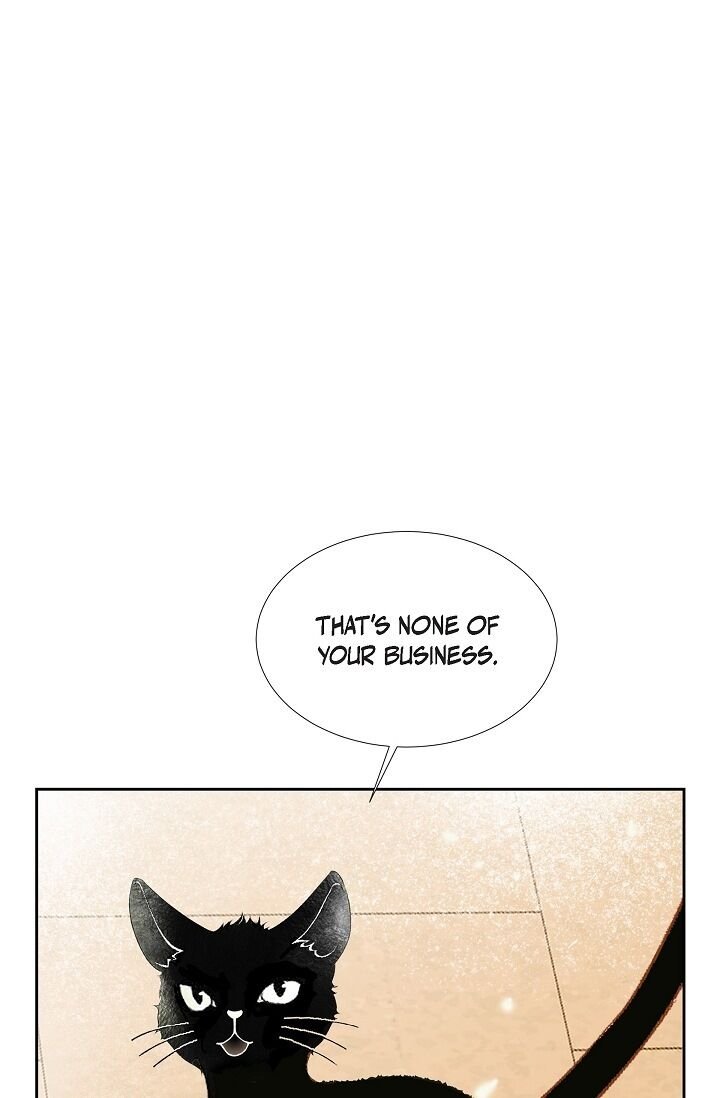 Page 35 of Chapter 17