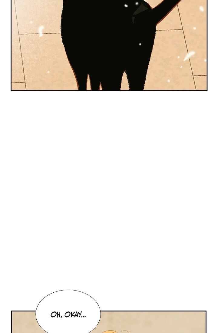 Page 36 of Chapter 17