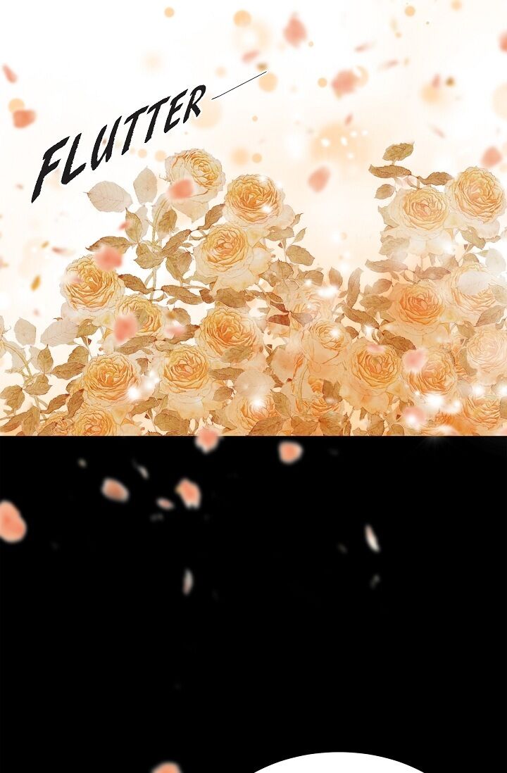 Page 42 of Chapter 19