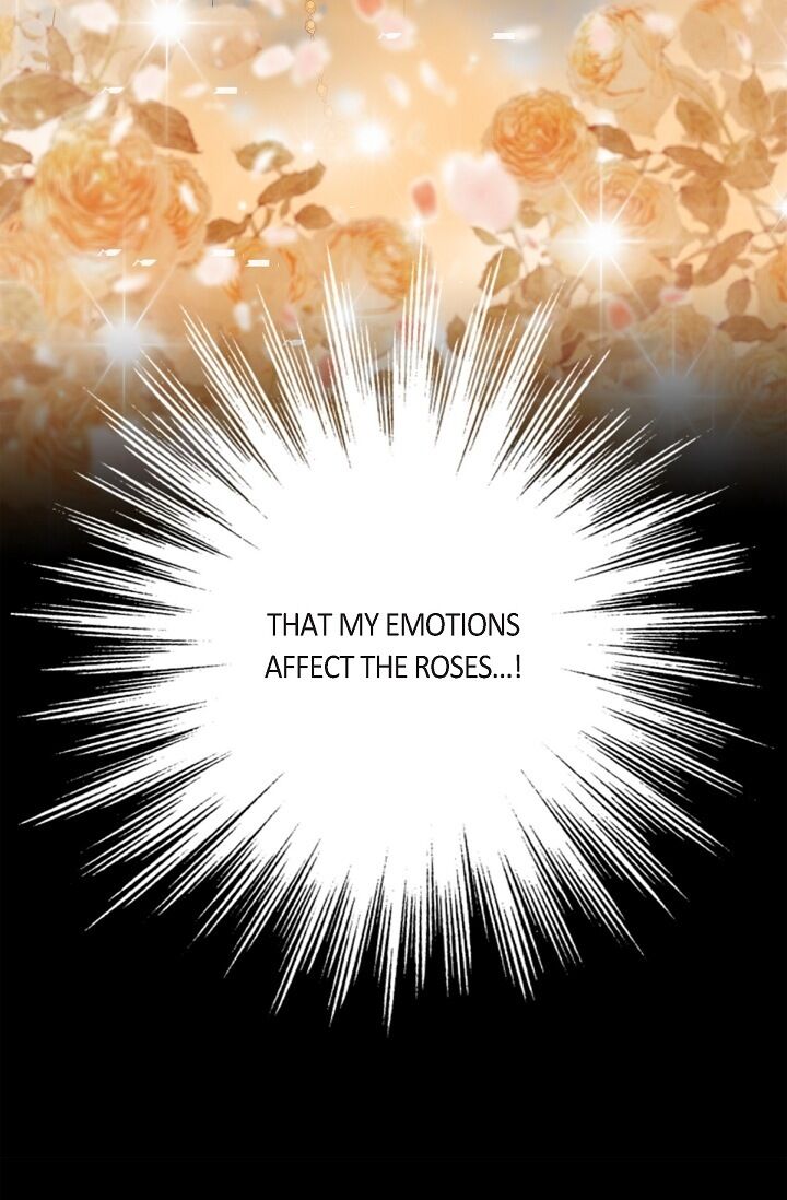 Page 88 of Chapter 19