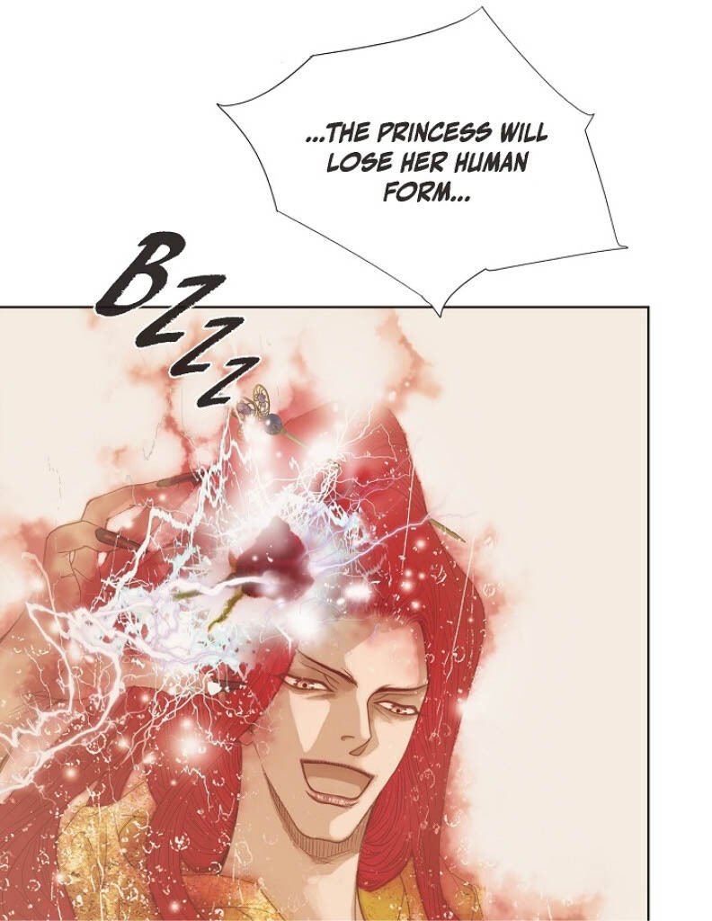 Page 16 of Chapter 2