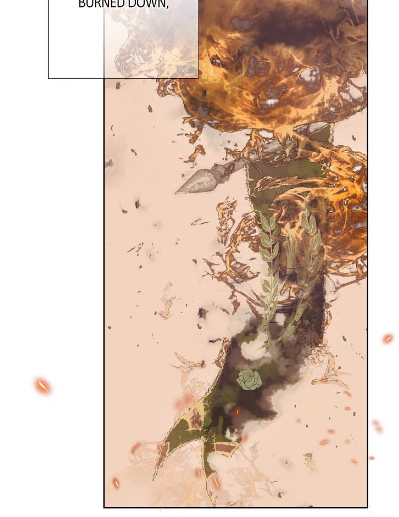 Page 35 of Chapter 2