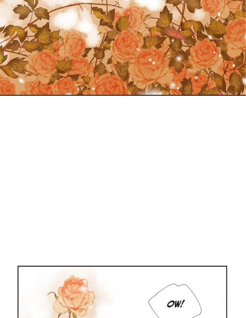 Page 43 of Chapter 2