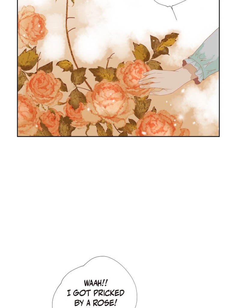 Page 44 of Chapter 2
