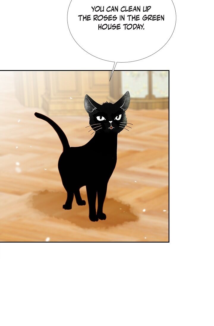 Page 49 of Chapter 25