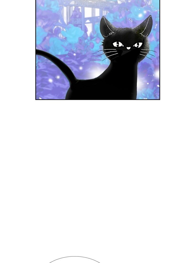 Page 56 of Chapter 25