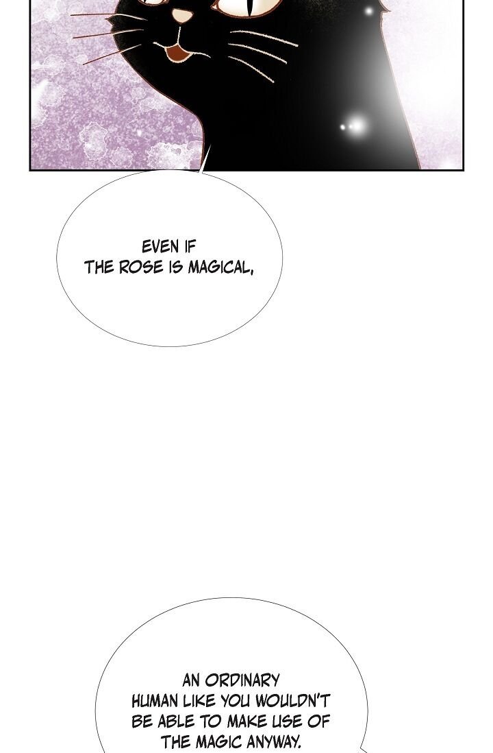 Page 28 of Chapter 27