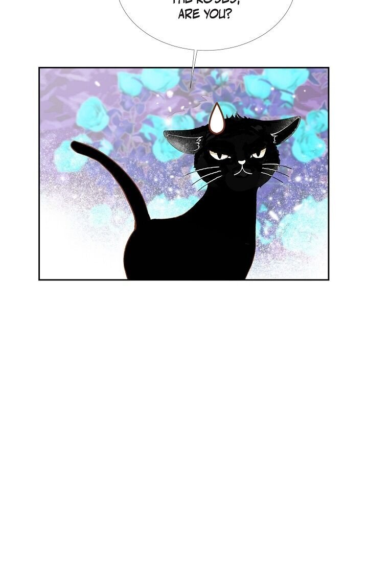 Page 51 of Chapter 27