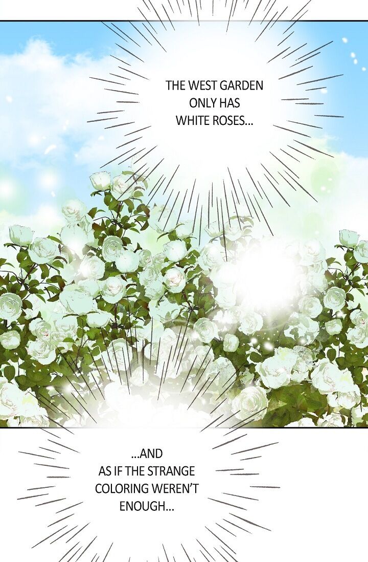 Page 96 of Chapter 29