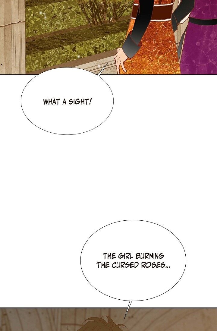 Page 39 of Chapter 31