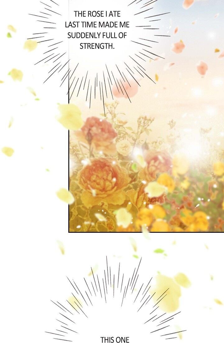 Page 26 of Chapter 32