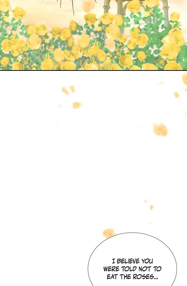 Page 60 of Chapter 32