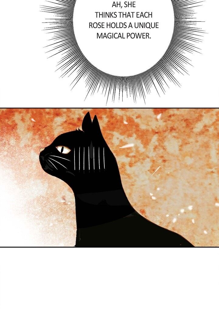 Page 75 of Chapter 32